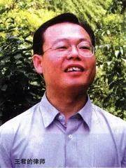 50万元一支冰淇淋与14个月羁押3