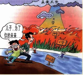 一口白菜帮子
