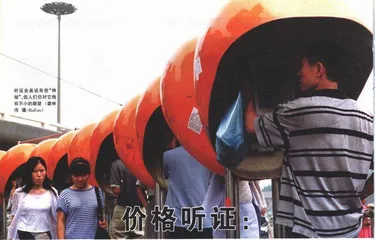 报道：价格听证：想说爱你并不容易