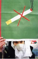 没烟没火没问题2