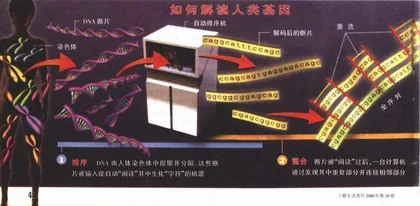 报道：基因技术带来新产权争夺?