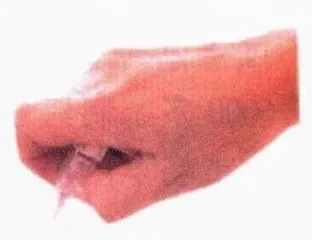 药的暴力与暴利18