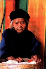 大象派人来了2