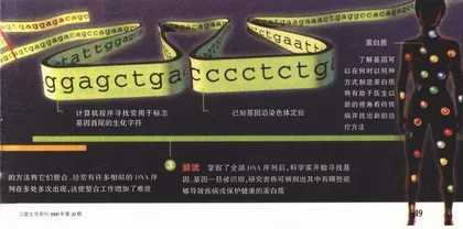 从数字符号到基因符号：人类将彻底变成符号