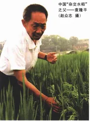 从数字符号到基因符号：人类将彻底变成符号1