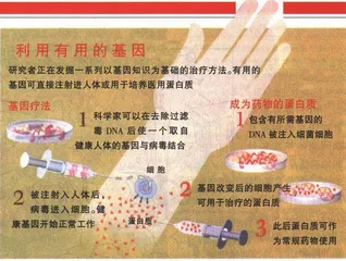 从数字符号到基因符号：人类将彻底变成符号2