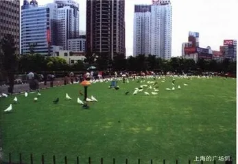 我在生机勃勃的上海2