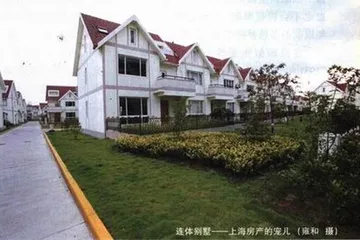 我在生机勃勃的上海3