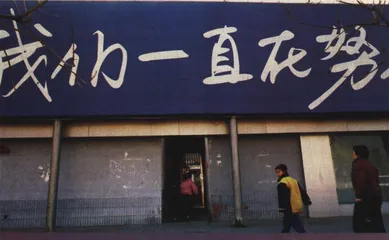 VCD死亡档案10
