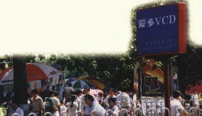 VCD死亡档案13