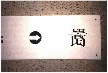 徐冰访谈录2