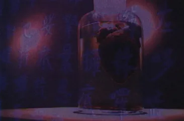 美丽的汉字 沉重的汉字