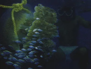 美丽的释毒者3