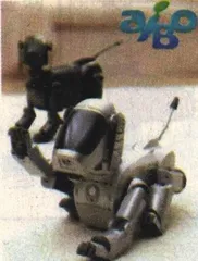 多媒体(99)2