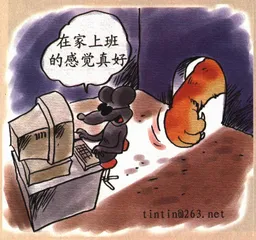 好的企业网站什么样？1