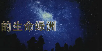 探索宇宙中的生命绿洲