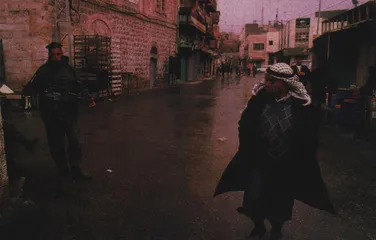 90年代：民主的挑战7