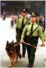 报道：谁来关心警察权
