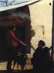 20世纪的10部中国电影8