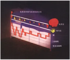 睡眠的意外收获1