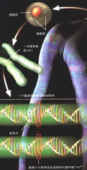 基因时代：你准备好了吗？