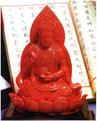 珊瑚的绝唱4