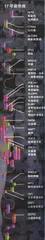 基因时代：你准备好了吗？1