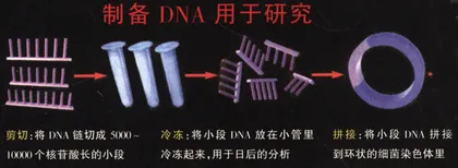 基因时代：你准备好了吗？7