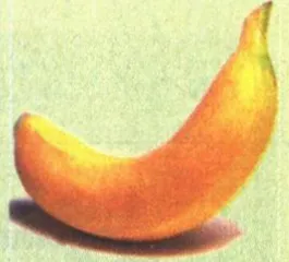 吃什么？2