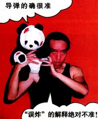 对暴力的三种诉讼5