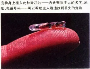 硅世纪5