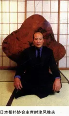 奇妙的相扑　现代的相扑1