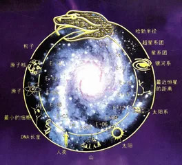 流行·夸克·熵