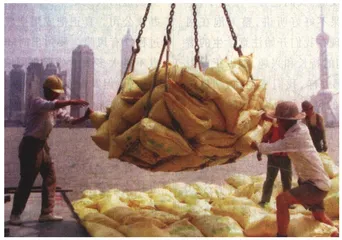 报道：WTO：轿车与小麦