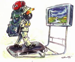 生活圆桌(79)