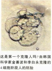 克隆人何时问世？1