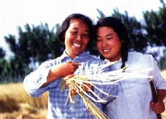 17000000人的黄铜时代6