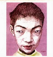 视觉的力量1