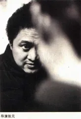 得到真实，忘记真实：《回家过年》1