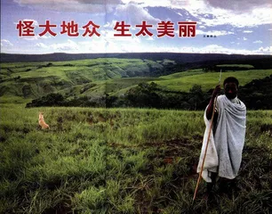怪大地众生太美丽