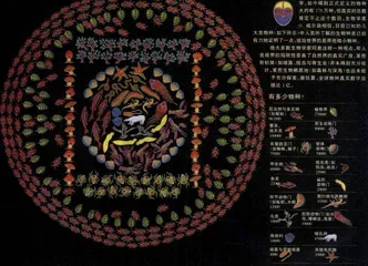 什么是生物多样化？