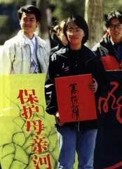 绿色中国3