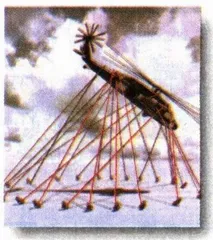 从《走向慈悲》到《黑鹰殒落》1