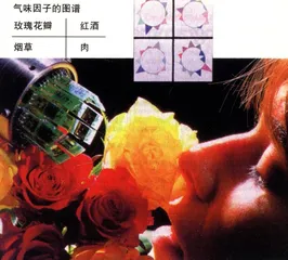 给你另一套感官1