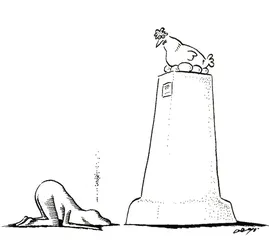 生活圆桌(74)1