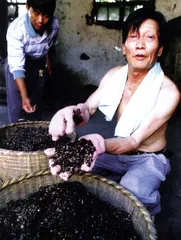 老总，你走好10