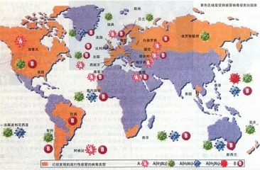 数据库(56)