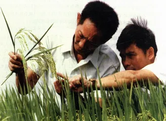 知识经济：能否点石成金
