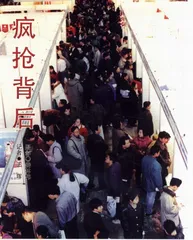 深度报道：疯抢背后