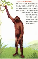 托斯卡纳的进化悲剧